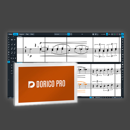 Steinberg Dorico Pro 5